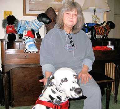 Pamper your pooch at pet boutique