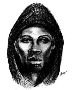 Police seek boro sex attacker