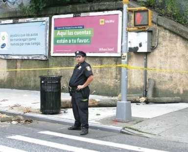 Falling tree injures woman in Ridgewood