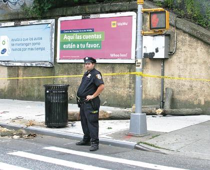 Falling tree injures woman in Ridgewood