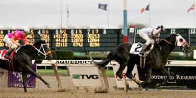 HORSE RACE: Politics eyed in long-shot win