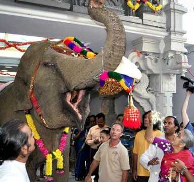 Whirlwind of divinity sweeps through Flushing