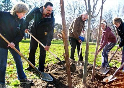 Civic sows trees to replace defaced ones in Juniper Park