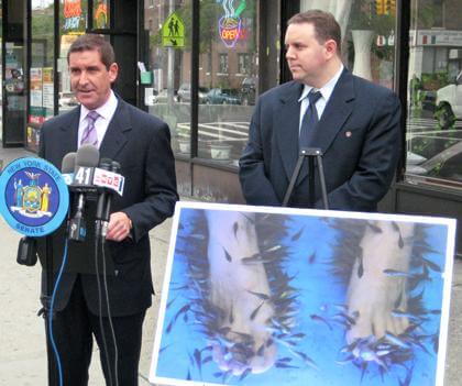 Lawmaker in Astoria calls for ‘fish pedicure’ ban