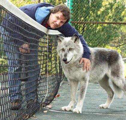 Farm museum program to feature friendly wolves