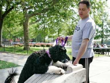 Deal near on Juniper dog run