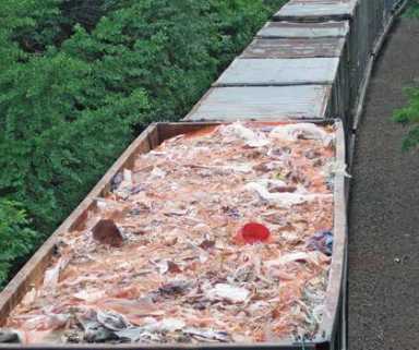 Residents make stink over trash