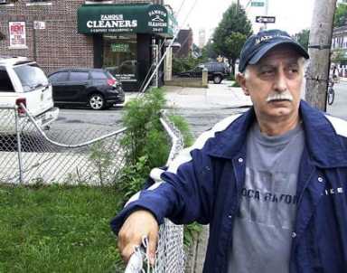 City removes hazardous tree