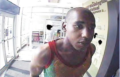 Suspected cat burglar arrested