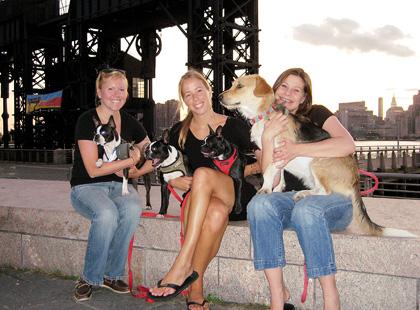LIC pet owners muster online to fight for dog runs