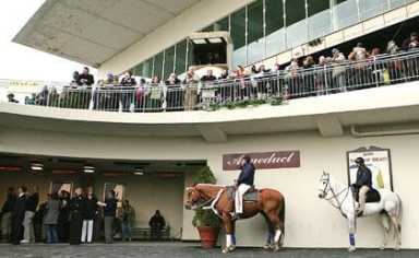 Boro wants Aqueduct jobs