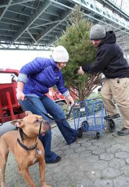 Astoria Park celebrates MulchFest