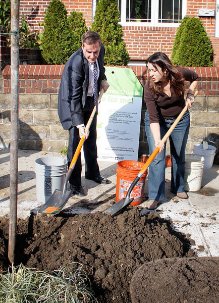 Trees planted in Astoria using money from Con Edison
