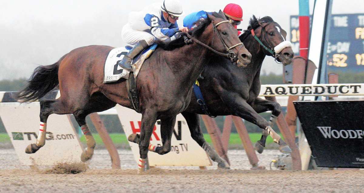 Two Aqueduct bidders scratched from consideration for VLTs