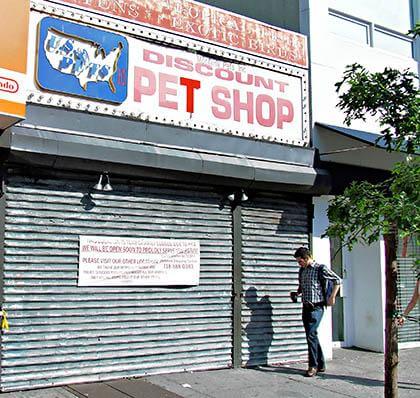 PETA wants store to stop selling pets Astoria shop badly damaged in blaze