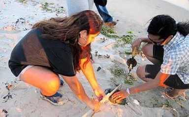 Audubon Society lands $50K for youth to clean up Jam Bay
