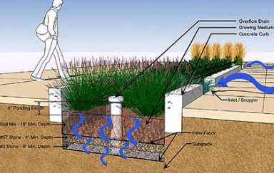 City doles out grants to Qns. businesses for green makeovers