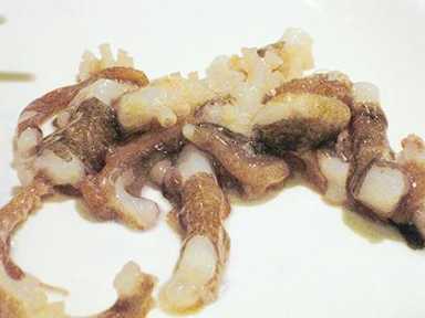Dining Out: East Seafood: Korean fare so fresh it’s not even dead
