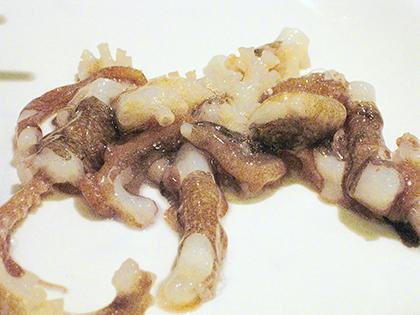 Dining Out: East Seafood: Korean fare so fresh it’s not even dead