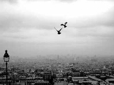 Peaceful city