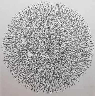 The roots of life Jackson Heights artist examines the foundation of life through simple expressions.