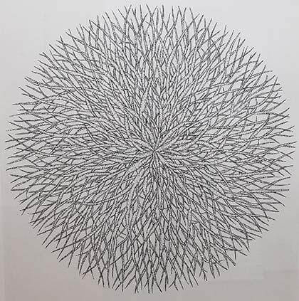 The roots of life Jackson Heights artist examines the foundation of life through simple expressions.