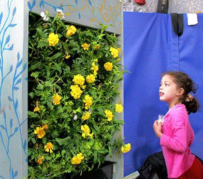 Forest Hills Y to give advice on green upgrades