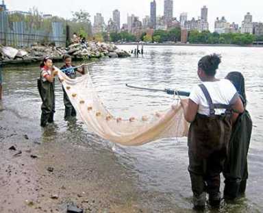 LIC summer camp puts girls up close to nature, science