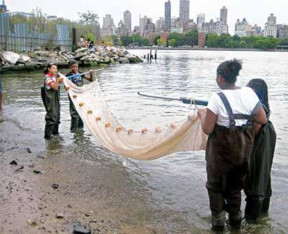 LIC summer camp puts girls up close to nature, science