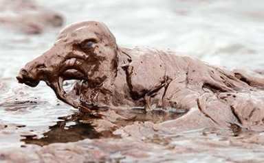 Gulf of Mexico oil spill leaves many questions unanswered