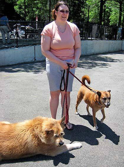 Lou Lodati Park is going to the dogs