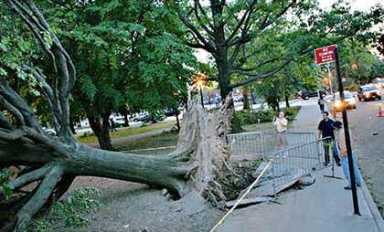 Boro pols ask feds for aid