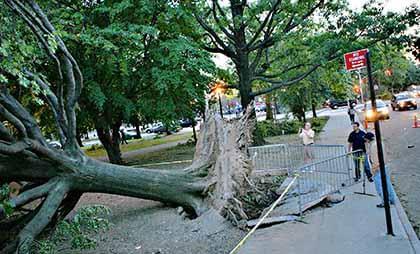 Boro pols ask feds for aid