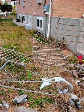 Jamaica children hit outside home by car