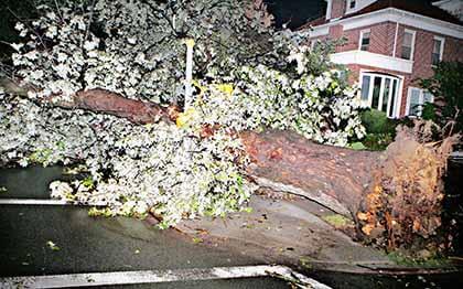 ‘War zone’ in storm’s wake