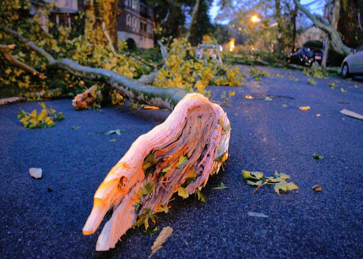 Weather Service finds two tornados hit city