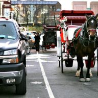 horse carriage