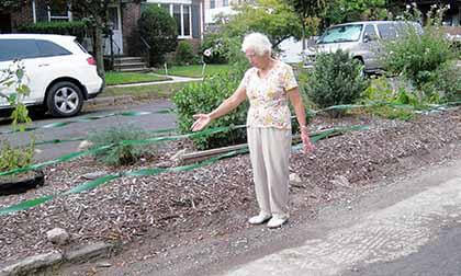 Auburndale residents call for curbs to be replaced