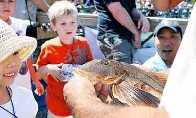 Queens kids gone fishin’ at annual Bayside Marina event