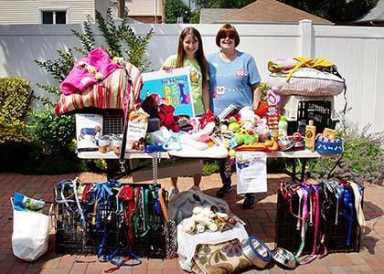 Queens shop raises $1,500 worth of food and used leashes, collars