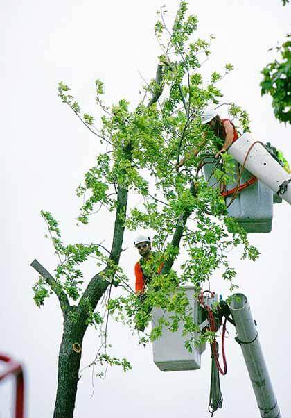 Queens awaits federal storm aid