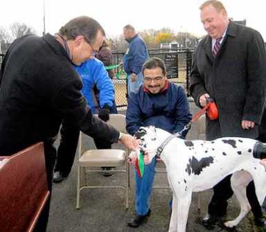 Queens puppies get workout at Little Bay Park