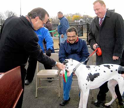 Queens puppies get workout at Little Bay Park
