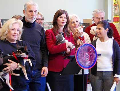 Crowley pushes for birth certificates for city’s puppies