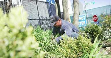 Auburndale rezone begins public review