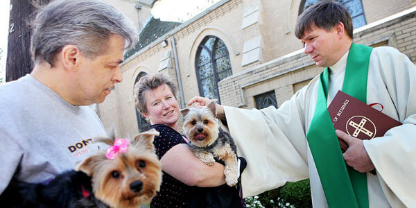 Animals receive blessings in honor of St. Francis