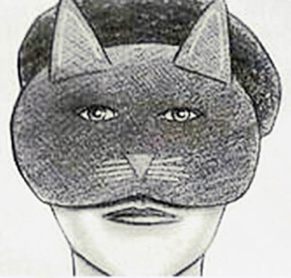 Astoria cat mask robber gets 10 years in prison