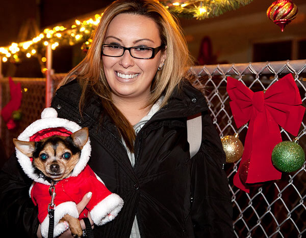 Pets pose with Santa at Doogy Be Good in College Point