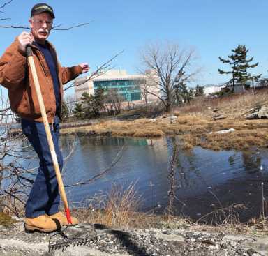 Yacht club wants dredging