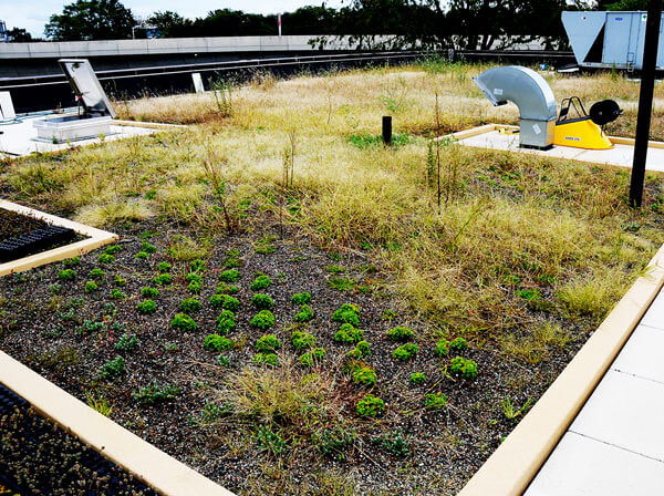 City makes Jamaica water plant eco-friendly with roof upgrade